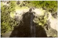 A Photographer's Shadow, 2017, 28 pigment inkjet prints on Photo Rag Hahnemuehle paper, various dimensions